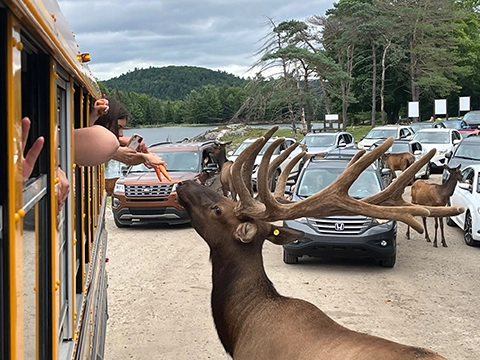 สุดแห่งประสบการณ์ชีวิต ที่สุดแห่งการเรียนภาษาในแคนาดา